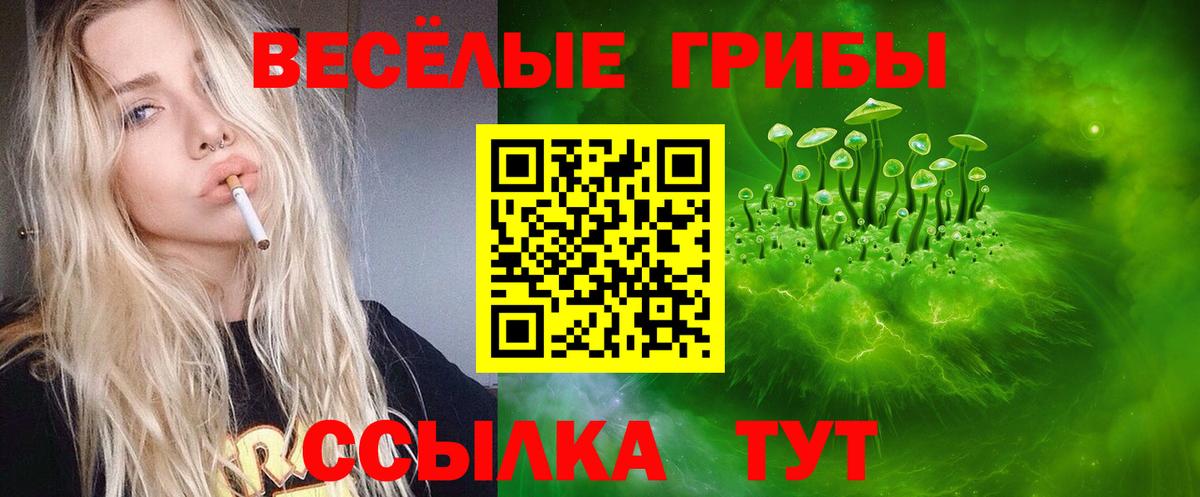 Псилоцибиновые грибы мухоморы  Вход с VPN  Котельники 